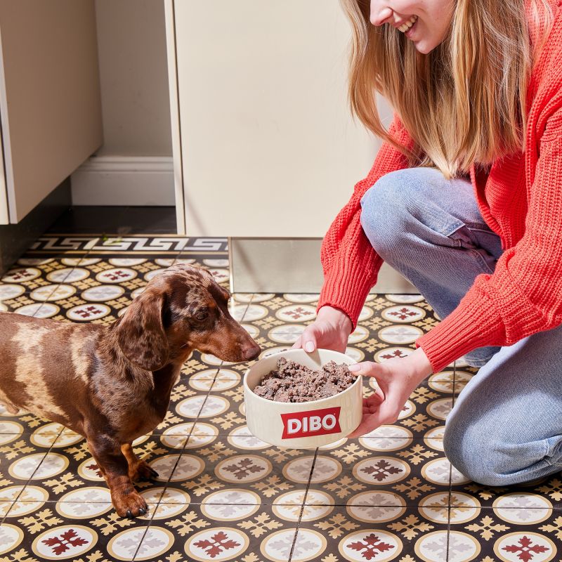 DIBO Fresh Block Huhn