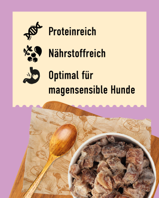 DIBO Kochfleisch - B.A.R.F.-Frostfutter für Hunde Text mit Vorteilen: proteinreich, nährstoffreich, für magsensible Hunde, daneben Napf mit Pferdefleisch und Holzlöffel.