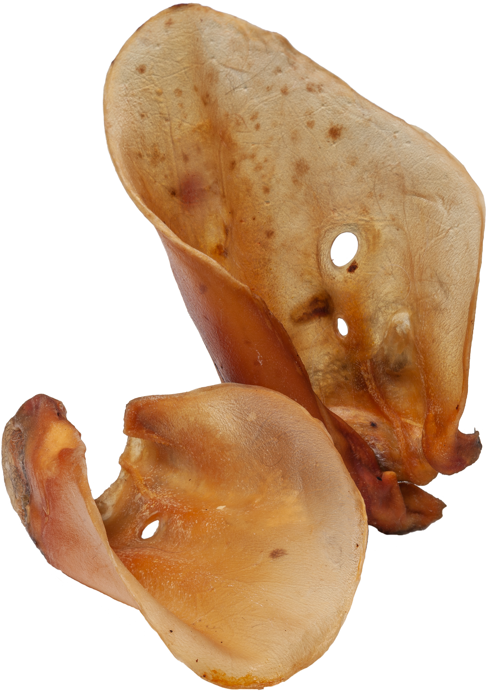 DIBO Rinder-Ohren, 2er-Beutel