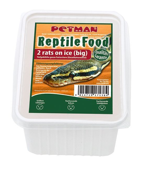 PETMAN Rats on Ice BIG
