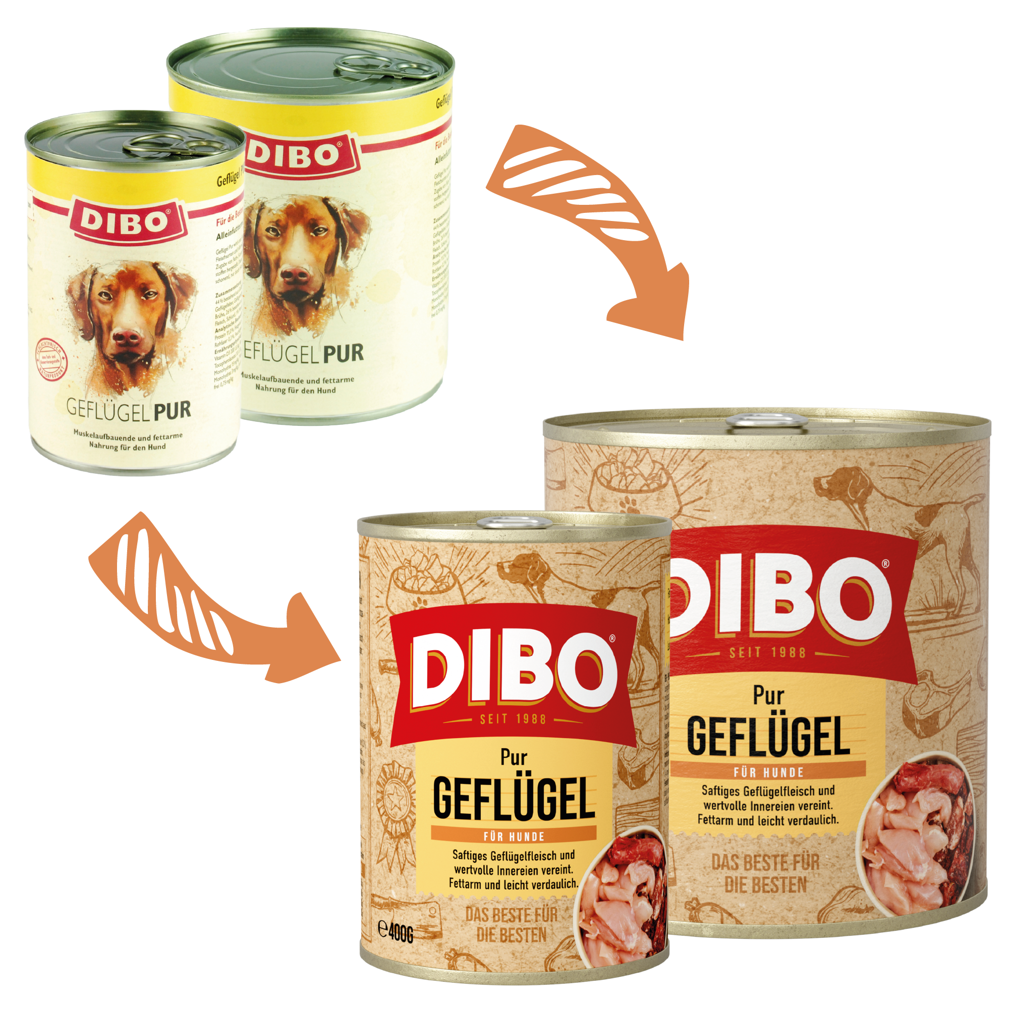 DIBO - GEFLÜGEL PUR, 400g-Dose DIBO Hundefutter Dosen mit Geflügel Pur, zwei verschiedene Designs und Größen, mit Hundeillustrationen und Fleischbildern