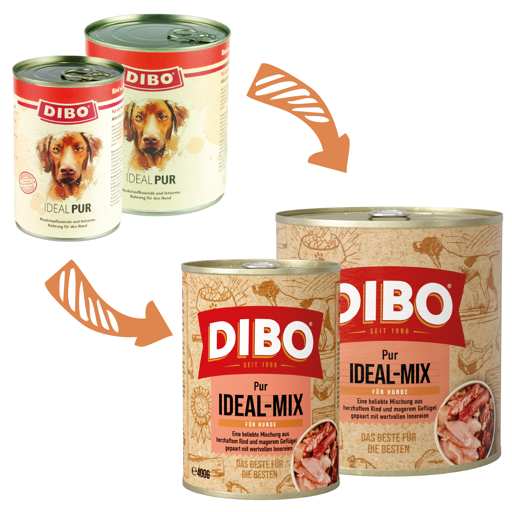 DIBO - IDEAL PUR (Rind/Geflügel), 400g-Dose DIBO Hundefutter Dosen Ideal Pur und Ideal-Mix mit Hundebild und Pfeilen auf weißem Hintergrund