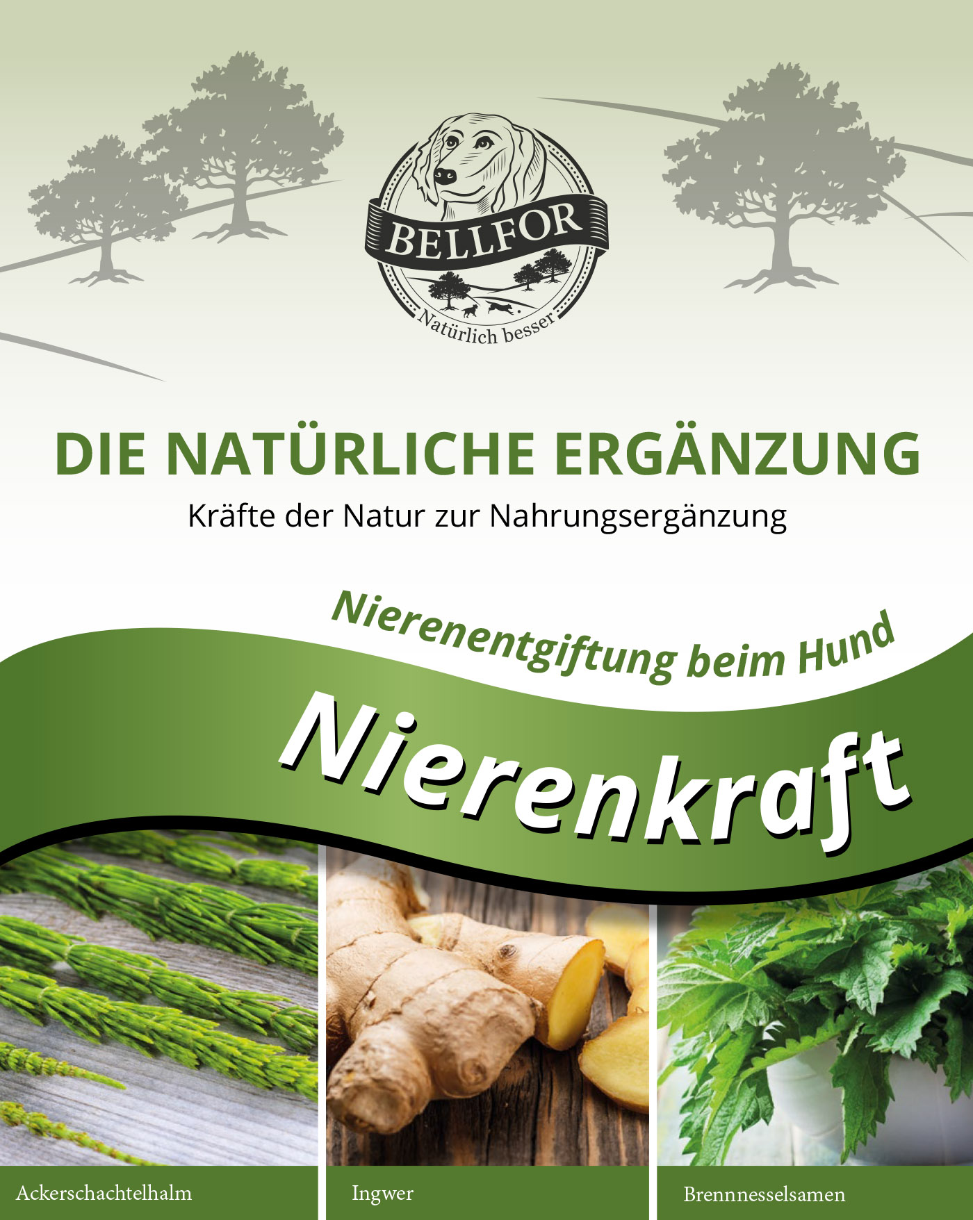 Bellfor "Nierenkraft"-Pulver, 250g-Dose