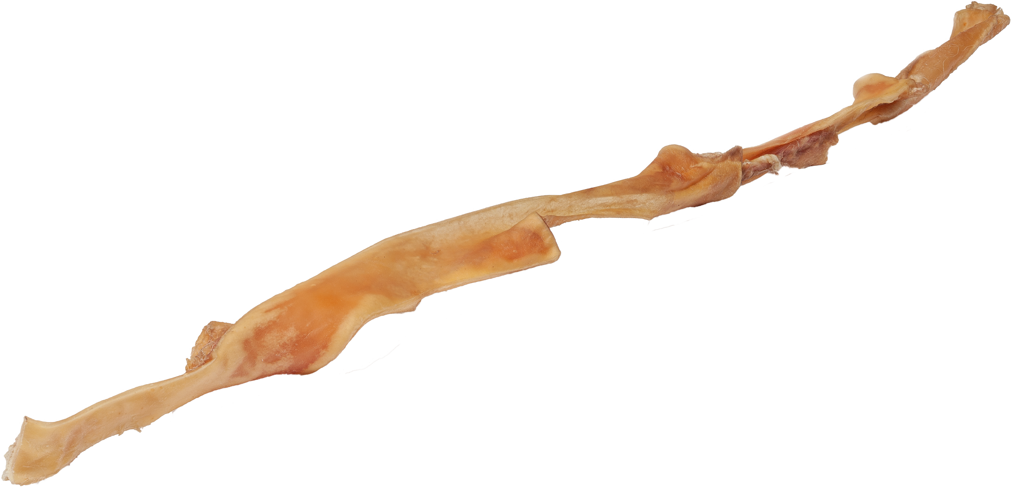 DIBO Rinder-Kopfhautstangen, ca. 80cm Getrocknete Rinderkopfhautstange, lang und dünn, mit unregelmäßiger Oberfläche und braunen Farbtönen