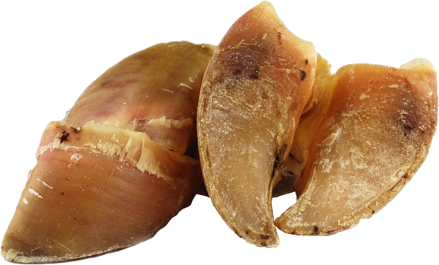 DIBO Rinderhufe, 20 Stück