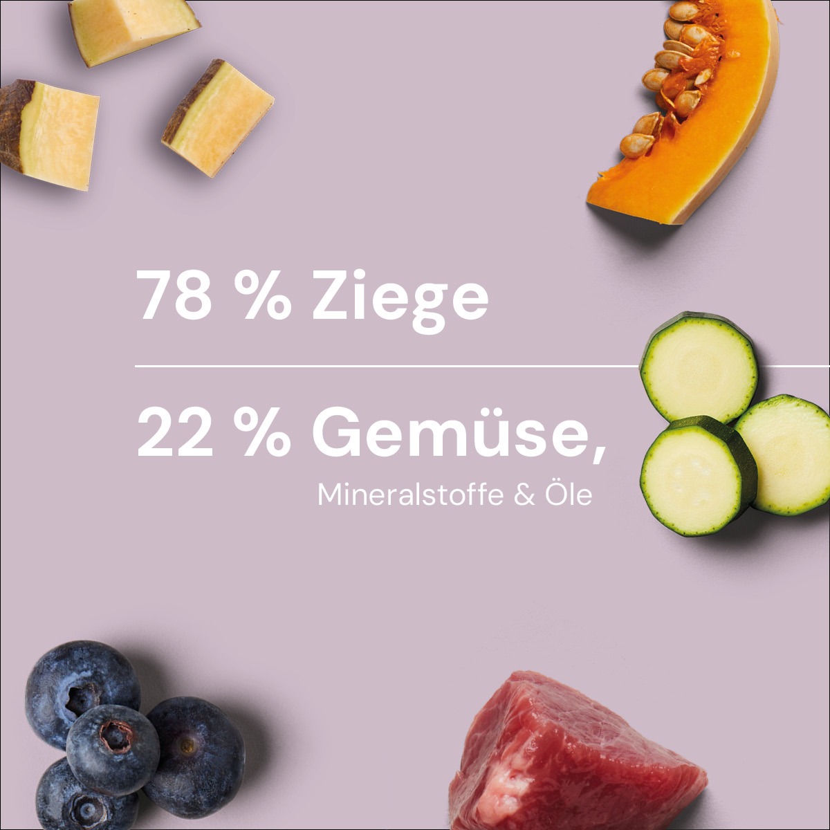 Nutriment BARF In One ZIEGE Zusammensetzung: 78 % Ziege, 22 % Gemüse, Mineralstoffe und Öle, mit Bildern von Kürbis, Zucchini, Heidelbeeren und Fleisch
