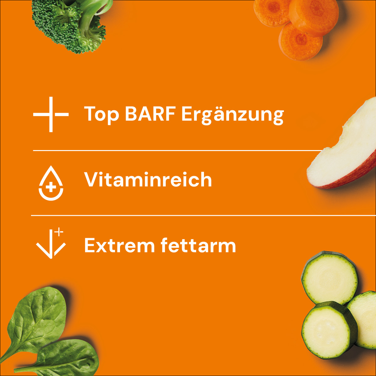 Nutriment Gemüse-Frucht MEDAILLONS ca. 25 g Orange Hintergrund mit Text zu BARF Ergänzung, vitaminreich und extrem fettarm, umgeben von Gemüse und Obst.