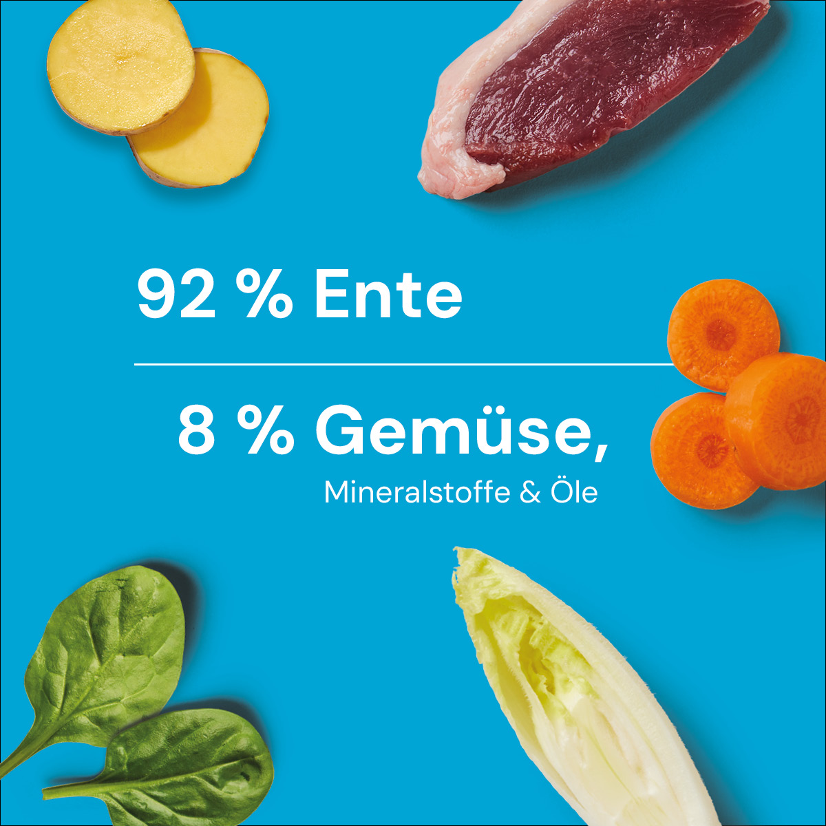 Nutriment BARF In One ENTE