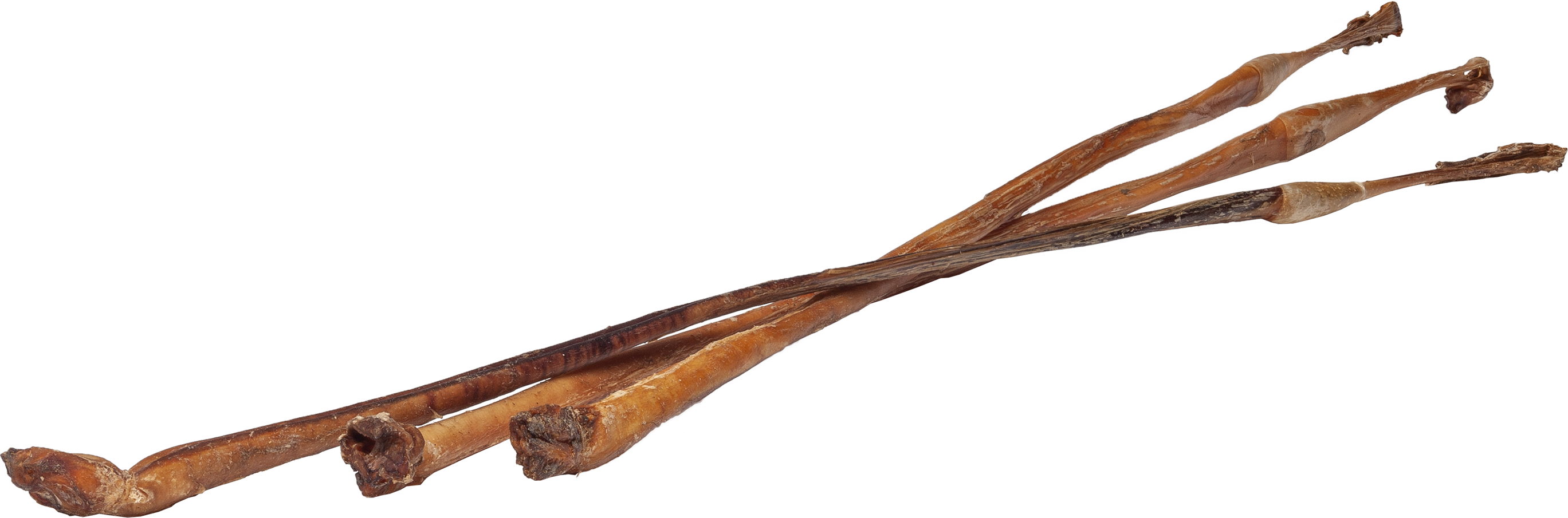 DIBO Ochsen-Ziemer, ca. 80cm lang Drei getrocknete Ochsenziemer, lange und dünne Hundekauartikel aus Rindersehnen
