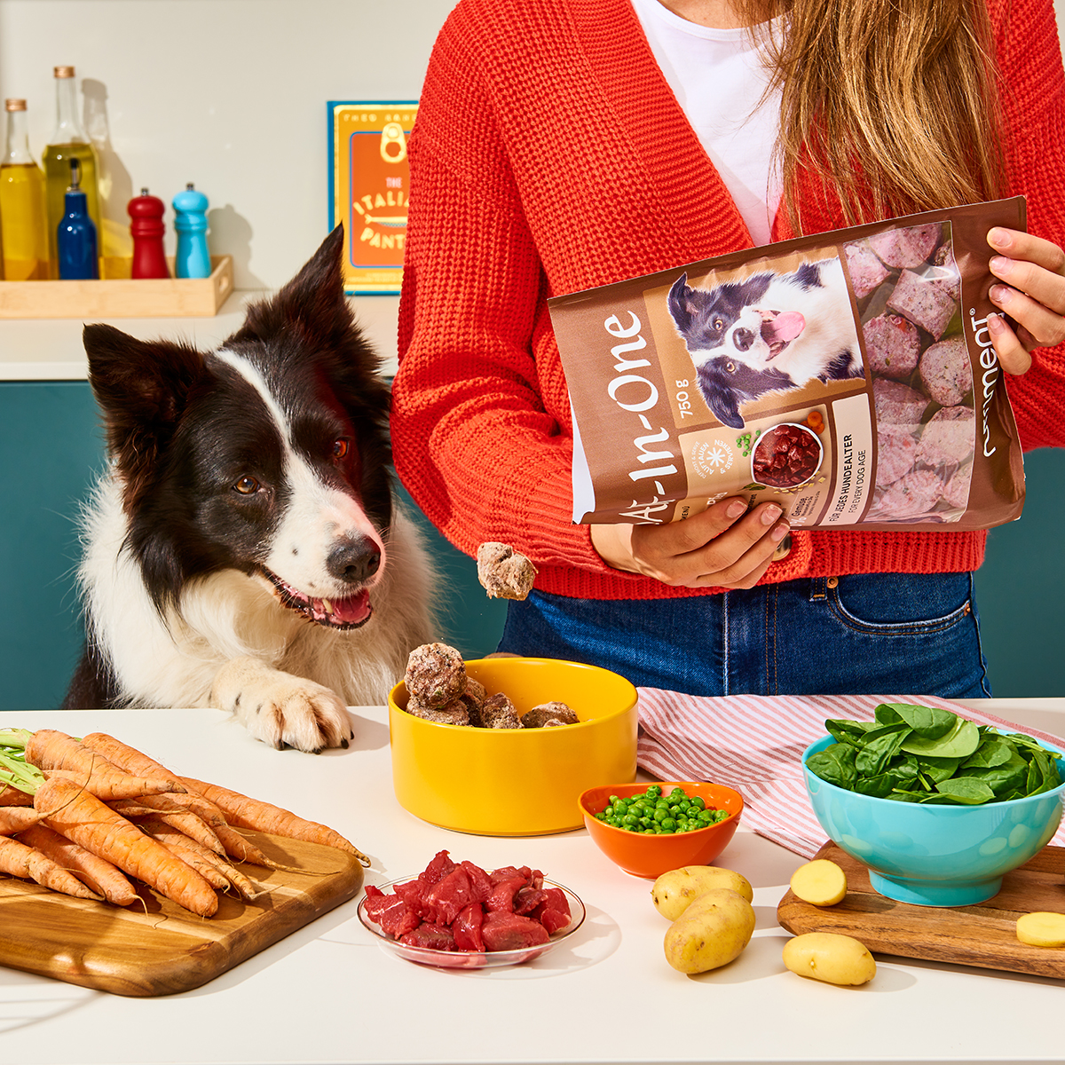 Nutriment BARF In One JUNIOR