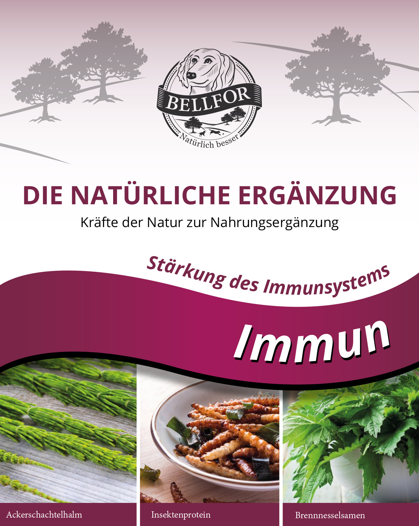 Bellfor "Immun", 250g-Dose