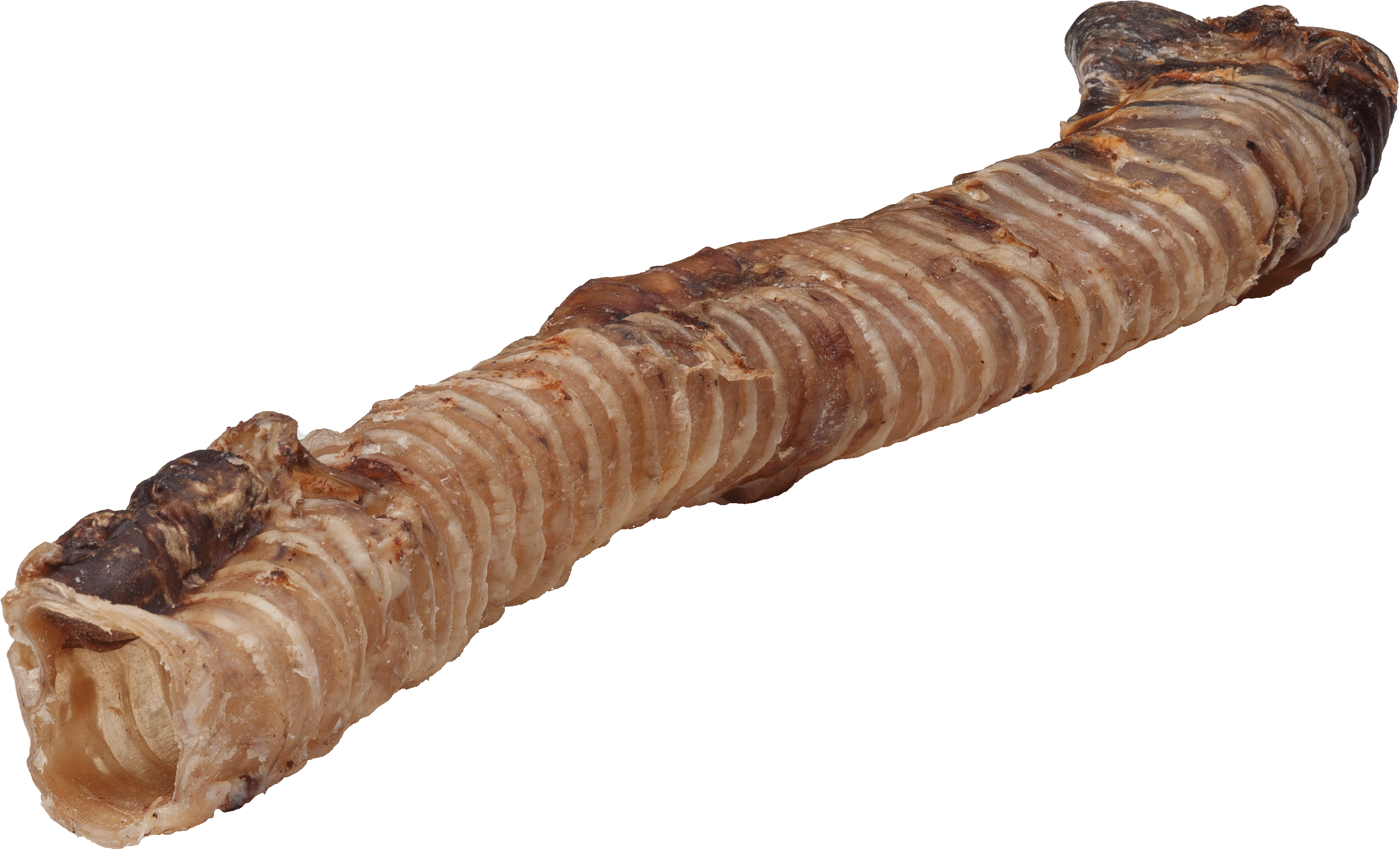 DIBO Rinder-Schlund (Strosse) ganz, lang