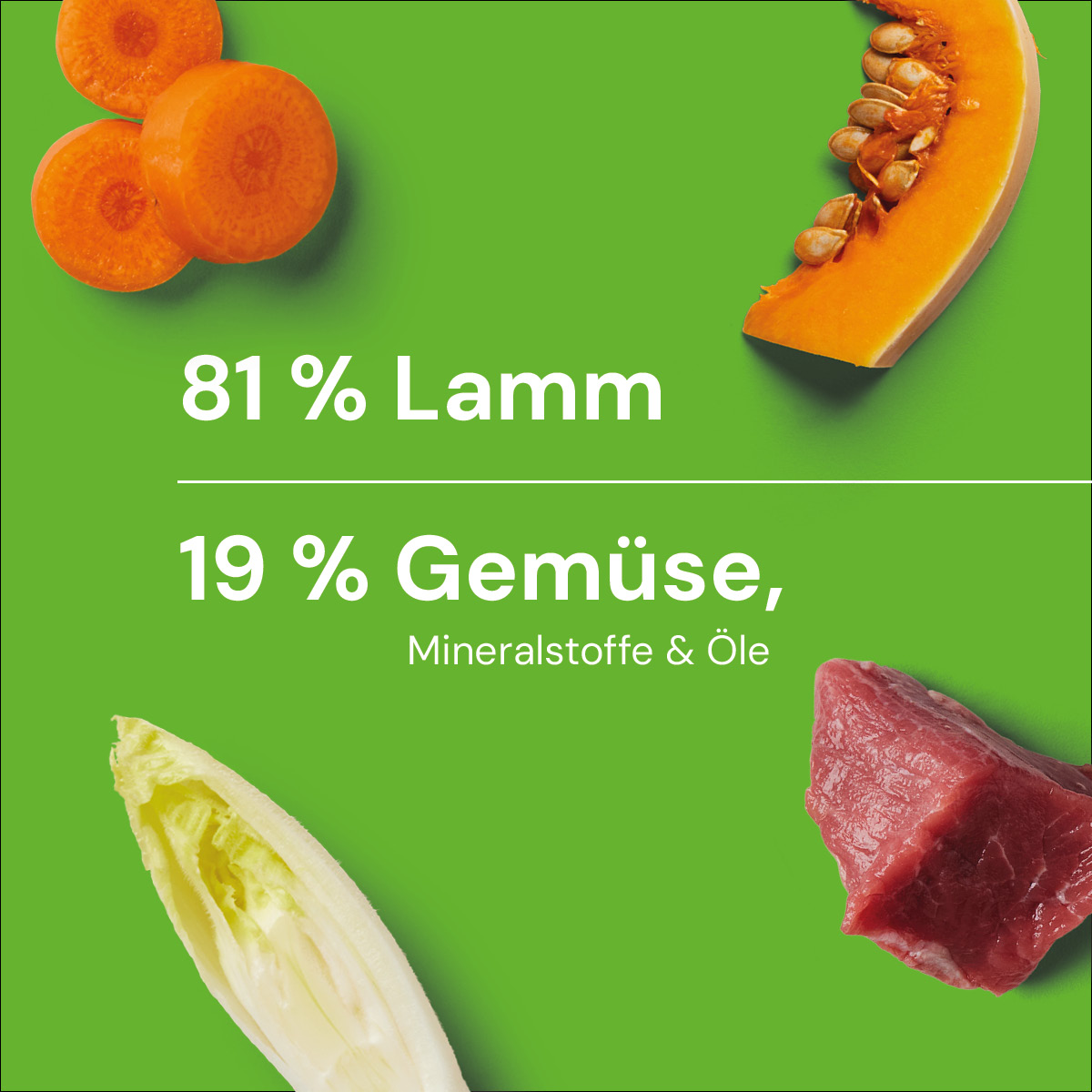 Nutriment BARF In One LAMM