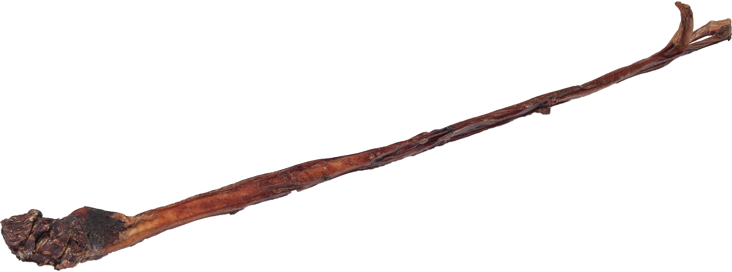 DIBO Ochsen-Ziemer, lang, mit Fleisch Getrockneter Ochsenziemer, ein langer, dünner, brauner Kauknochen für Hunde.