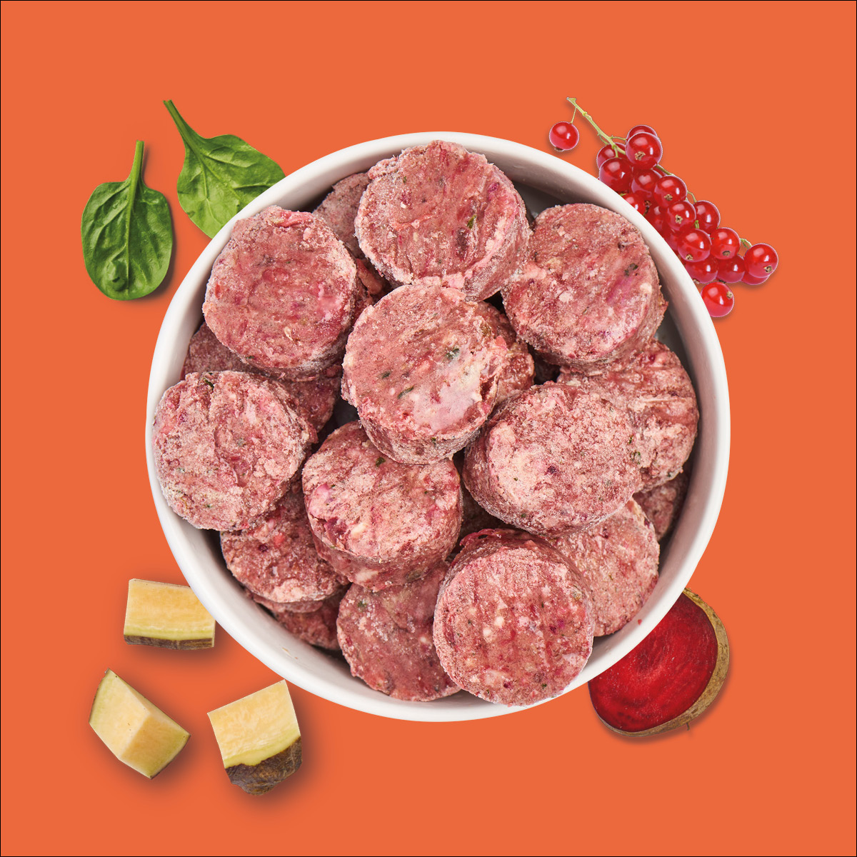 Nutriment BARF In One KRAFTPROTZ (High Energy)