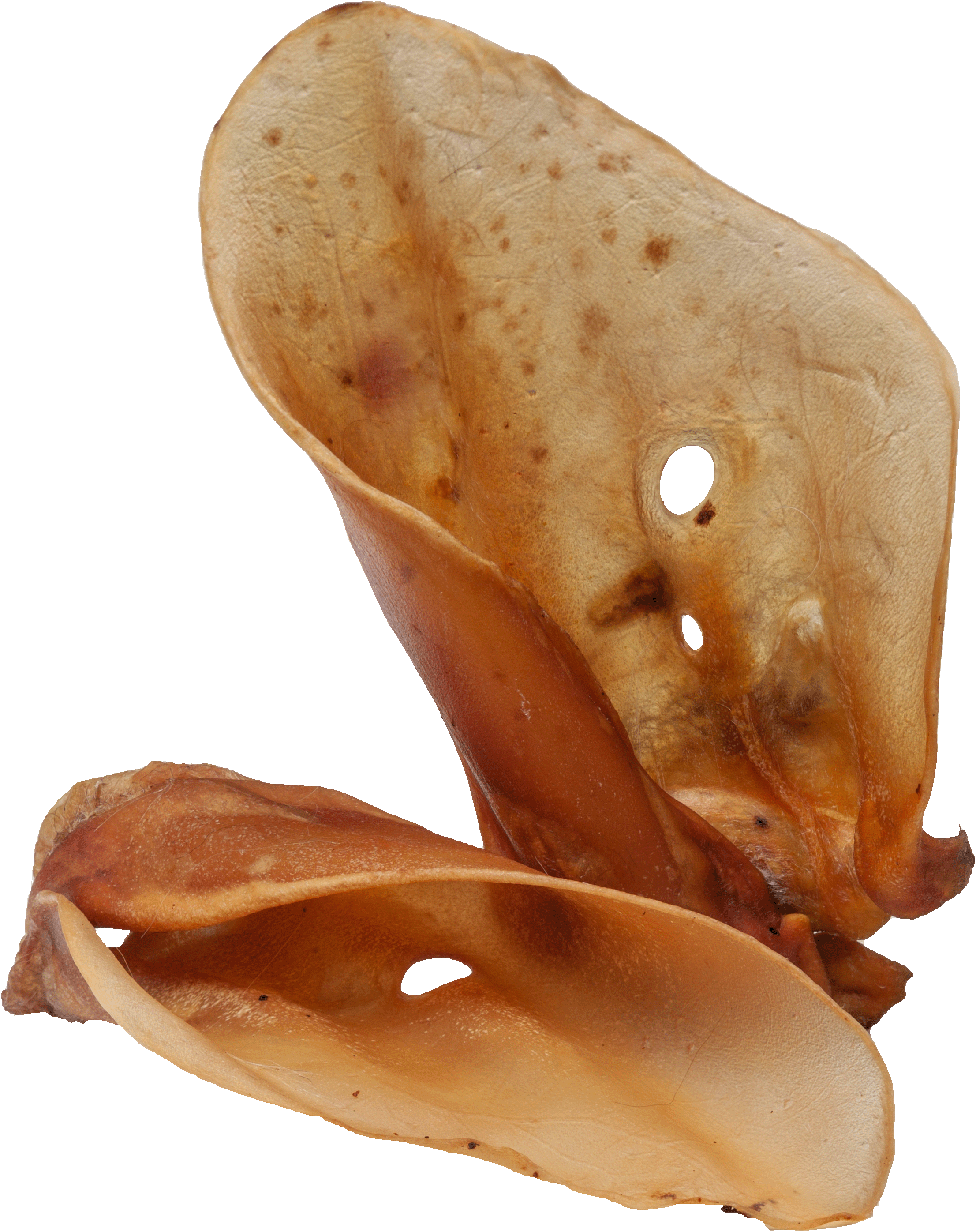 DIBO Rinder-Ohren, 2er-Beutel