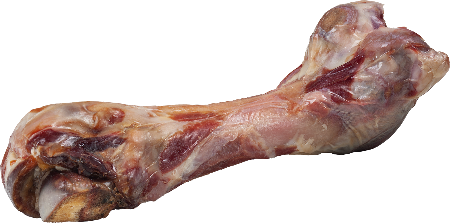DIBO Schinkenknochen ca. 23cm Roher Schinkenknochen mit Fleischresten, freigestellt auf weißem Hintergrund
