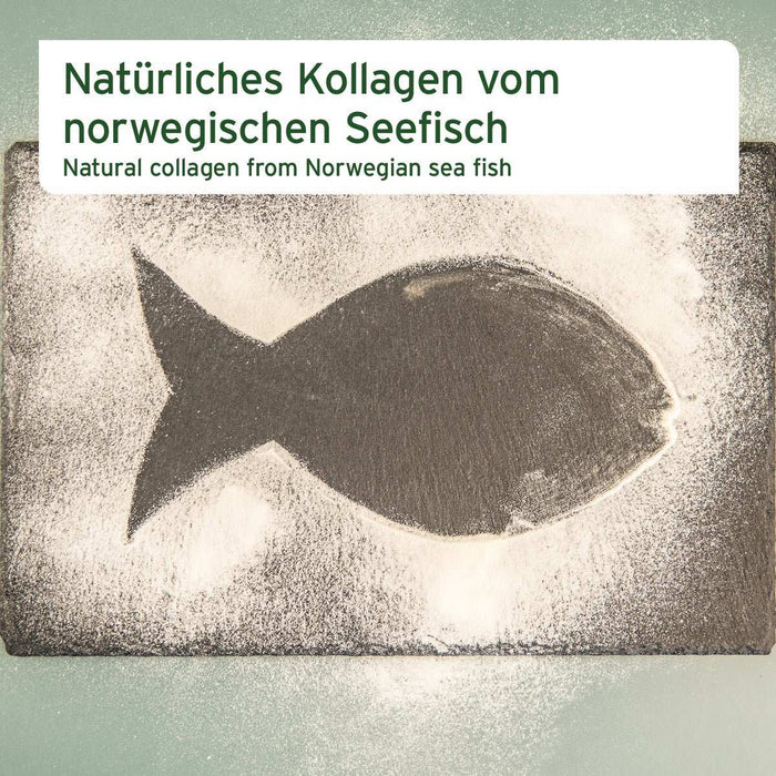 AniForte Kollagen Pulver