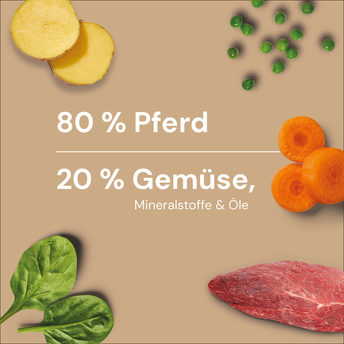 Nutriment BARF In One PFERD