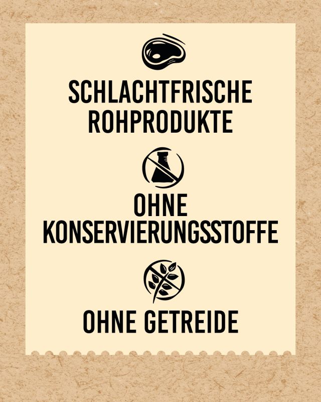 DIBO - SPEZIAL PUR (Rind/Pansen), 400g-Dose