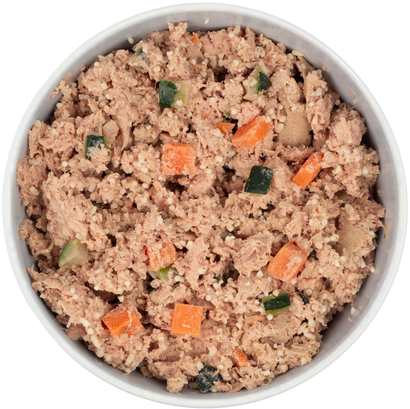 DIBO Fresh Block Lachs