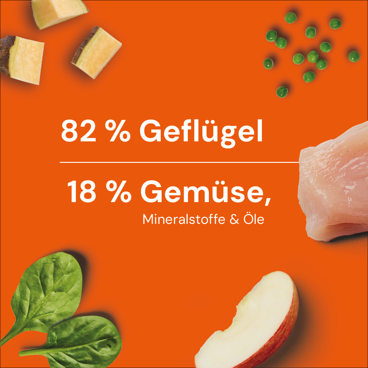 Nutriment BARF In One GEFLÜGEL