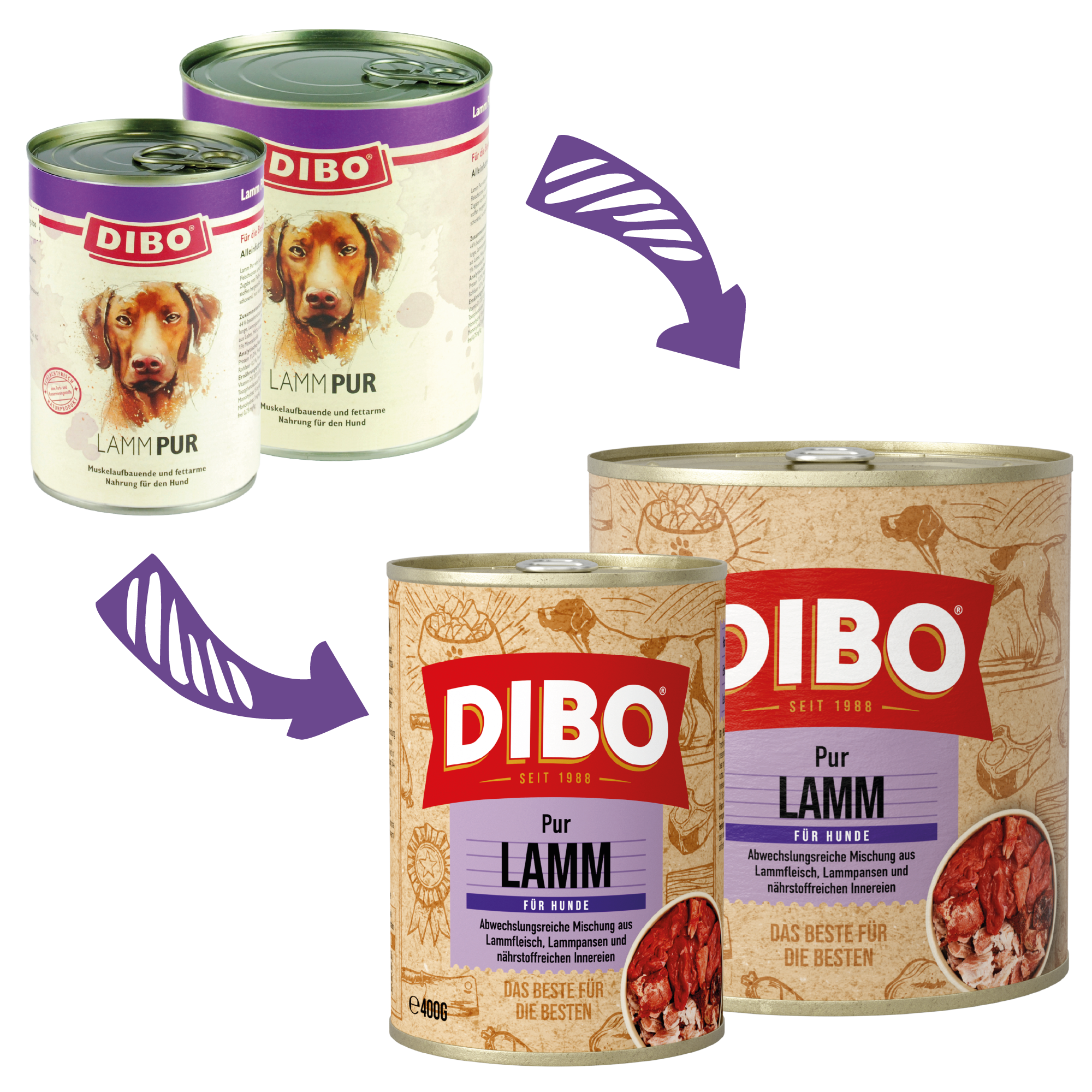 DIBO - LAMM PUR, 400g-Dose DIBO Hundefutter Dosen mit Lamm pur, verschiedene Größen, mit Hundebild und lila Etikett