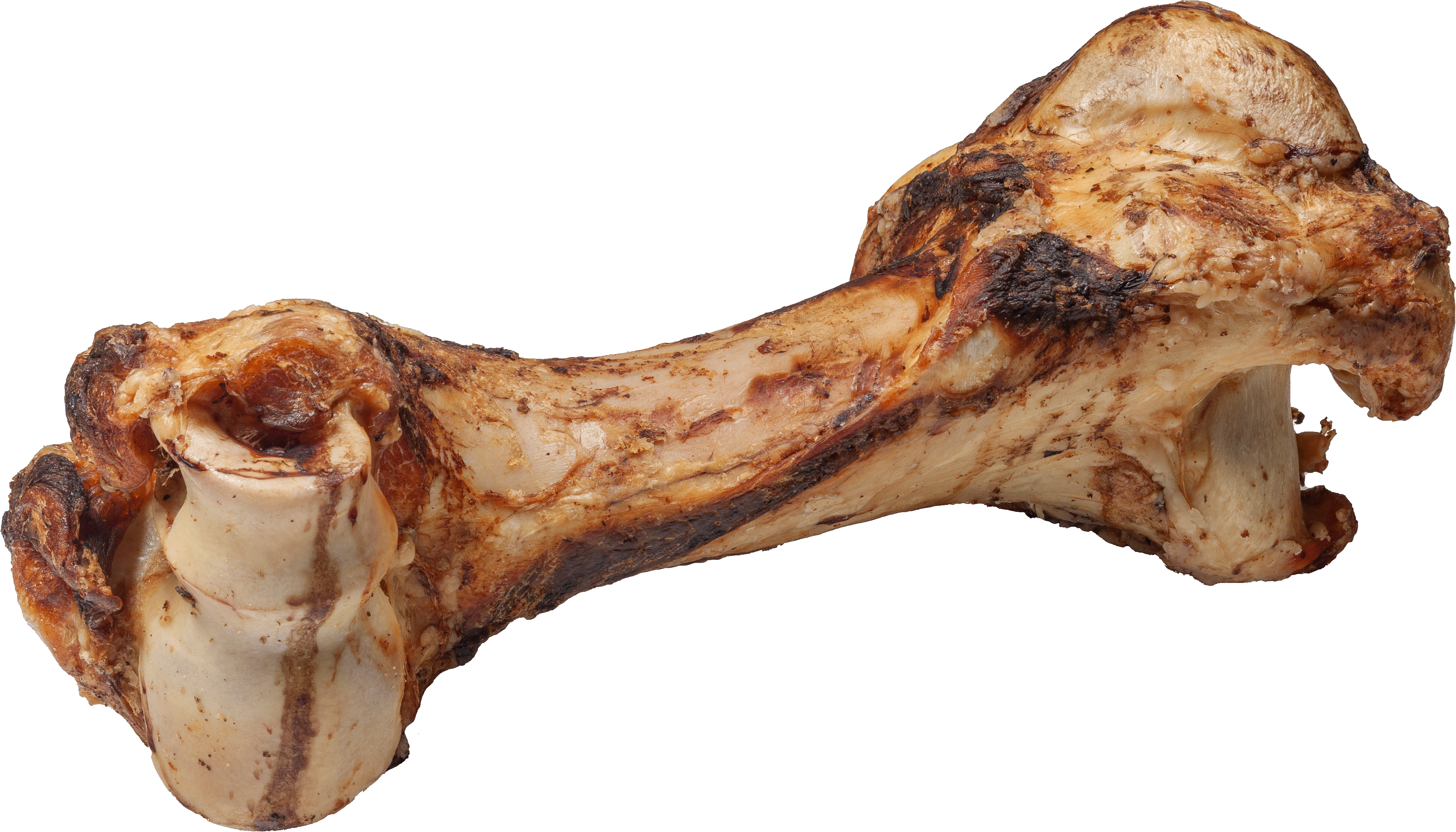 DIBO Mamut-Knochen Großer, gebrannter Knochen mit rauer Oberfläche, vermutlich ein Mamut-Knochen als Hundekauknochen