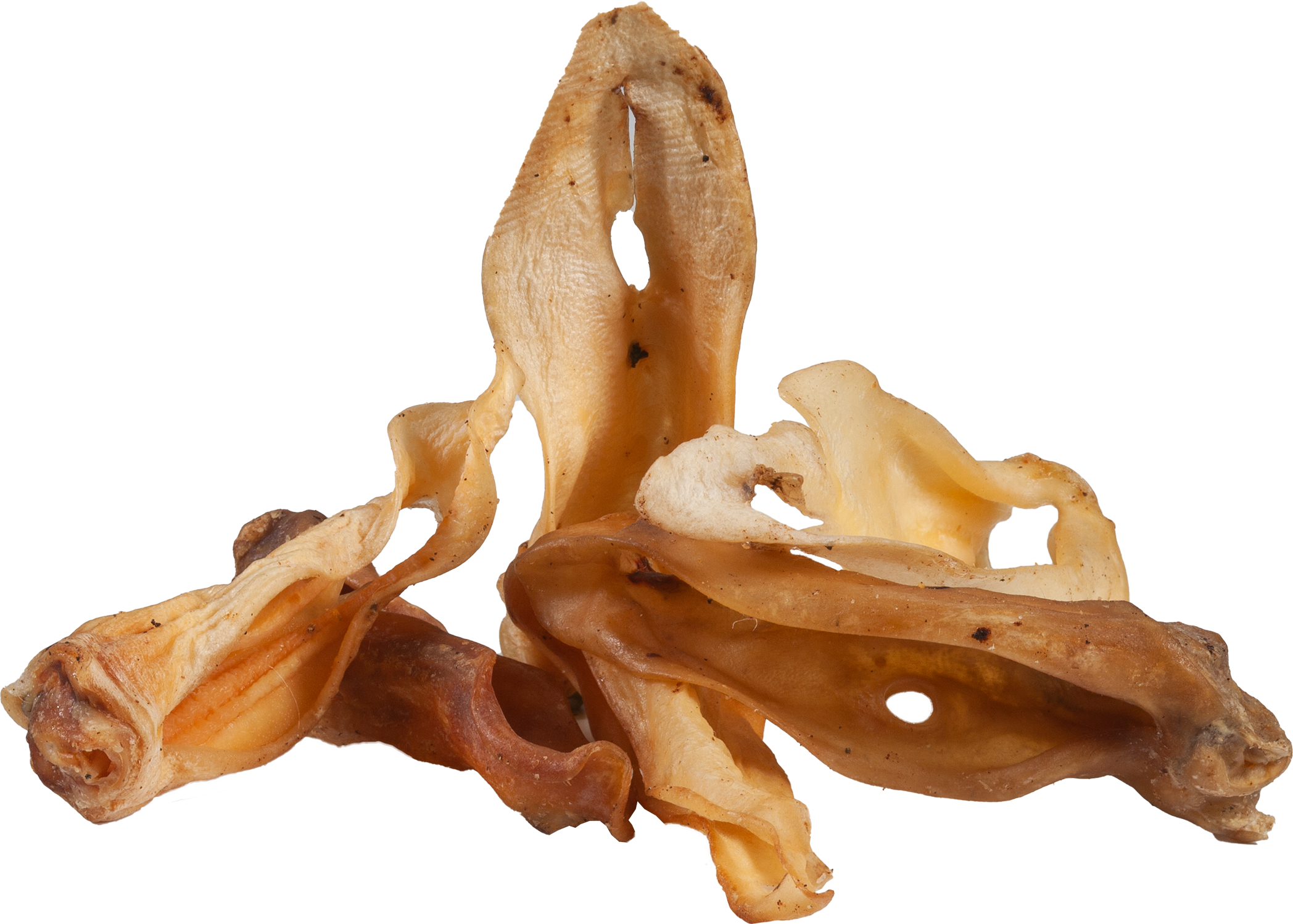 DIBO Lamm-Ohren, 70g-Beutel Getrocknete Lammohren als Hundesnack, braun-beige, unregelmäßige Formen, Nahaufnahme vor schwarzem Hintergrund