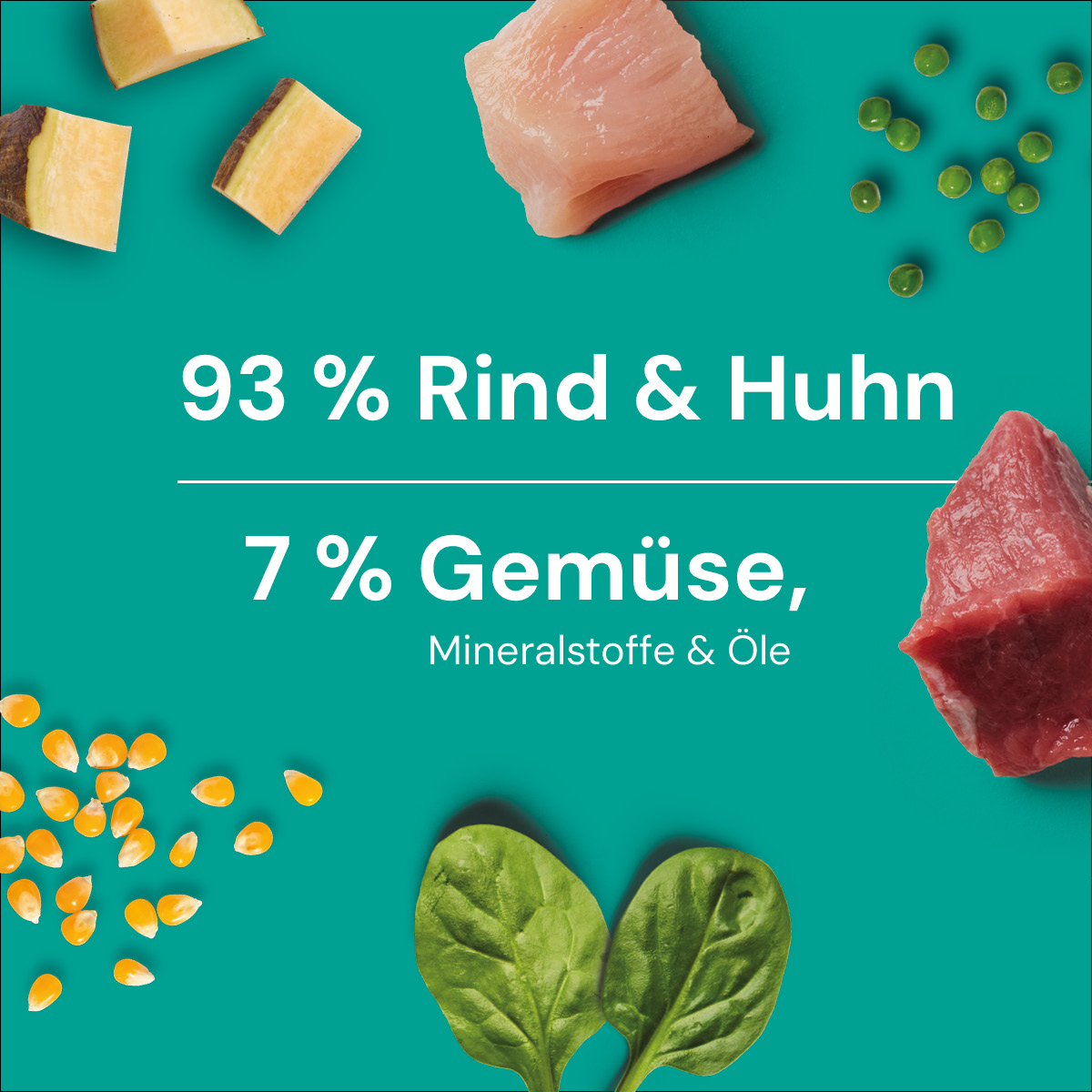 Nutriment BARF In One Pansen Plus