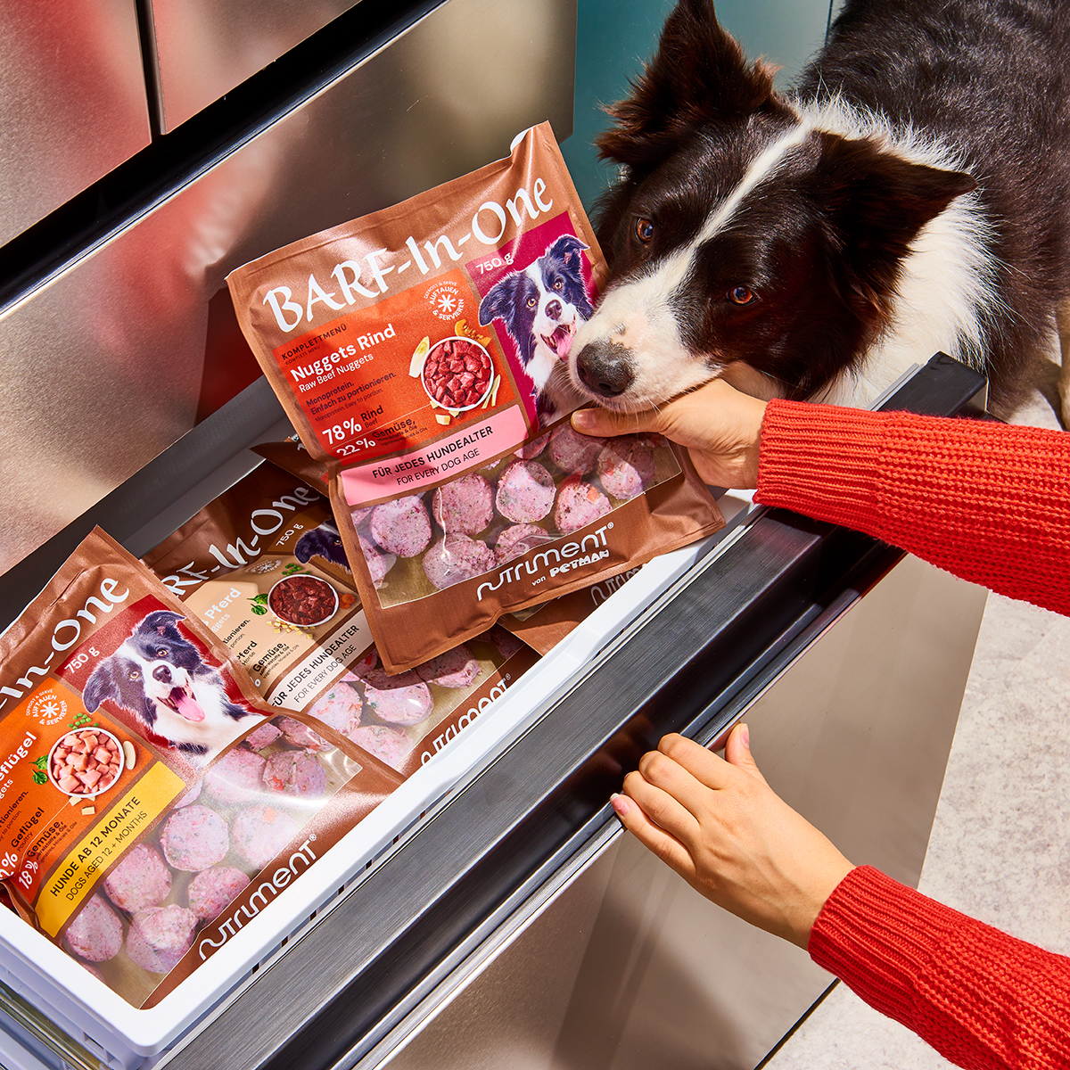 Nutriment BARF In One TRUTHAHN Hund riecht an gefrorenem BARF-Hundefutter aus einer offenen Gefrierschublade mit mehreren Packungen.