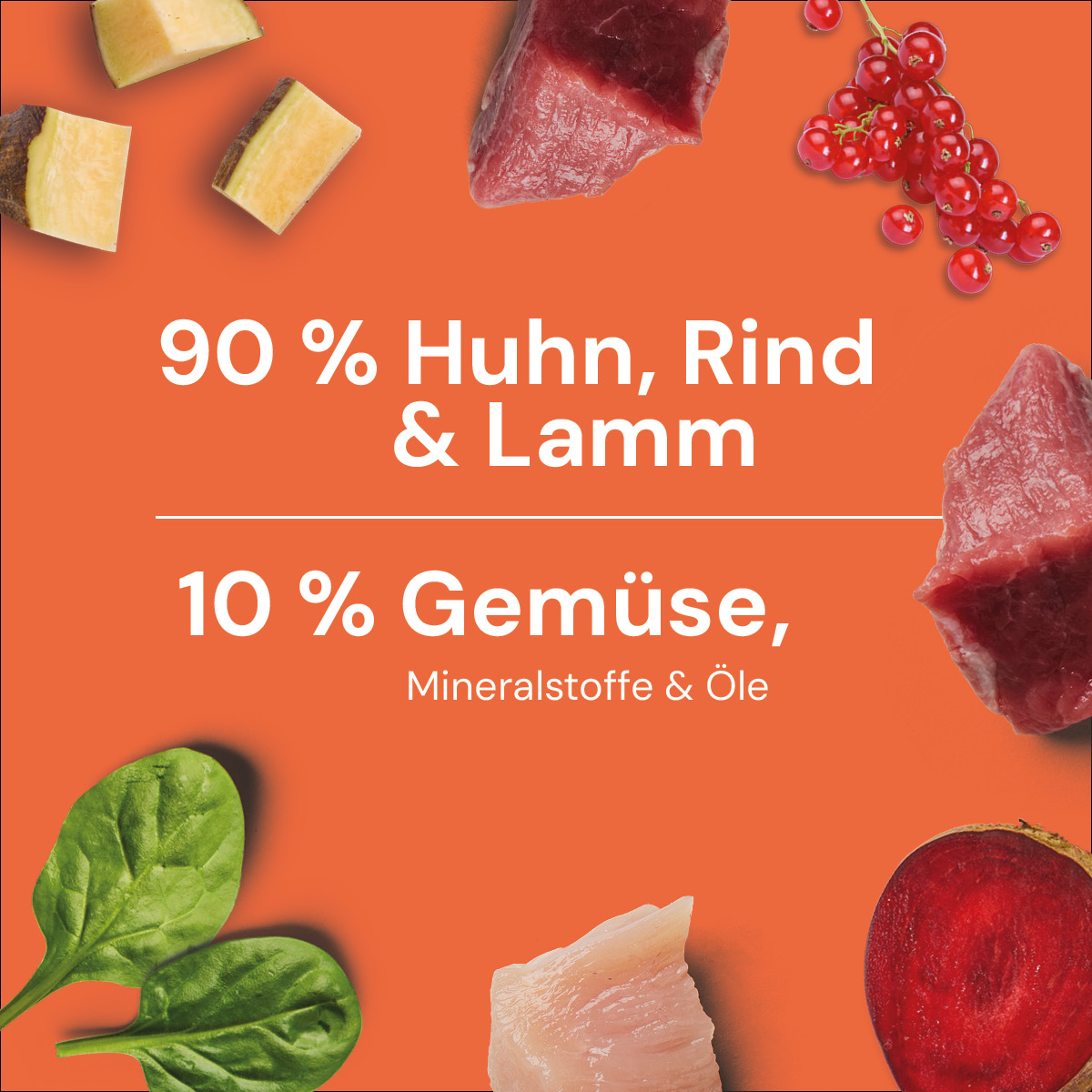 Nutriment BARF In One KRAFTPROTZ (High Energy)