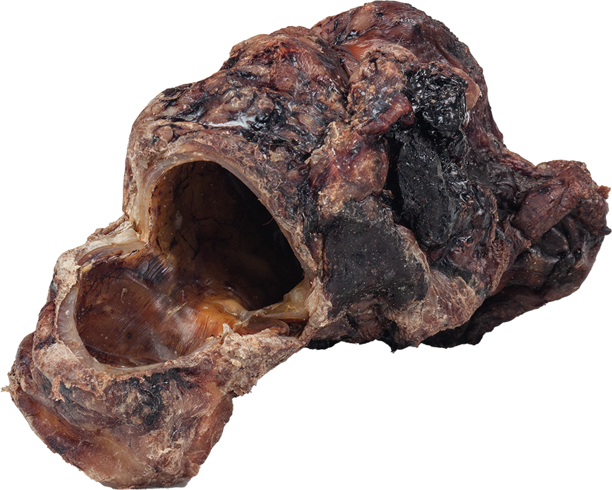 DIBO Rinder-Kehlköpfe, ganze, Stück