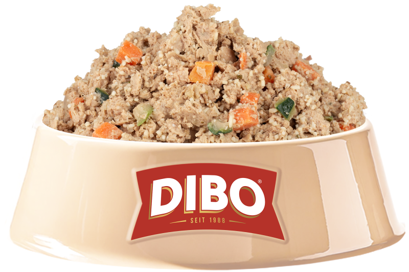 DIBO Fresh Block Lachs