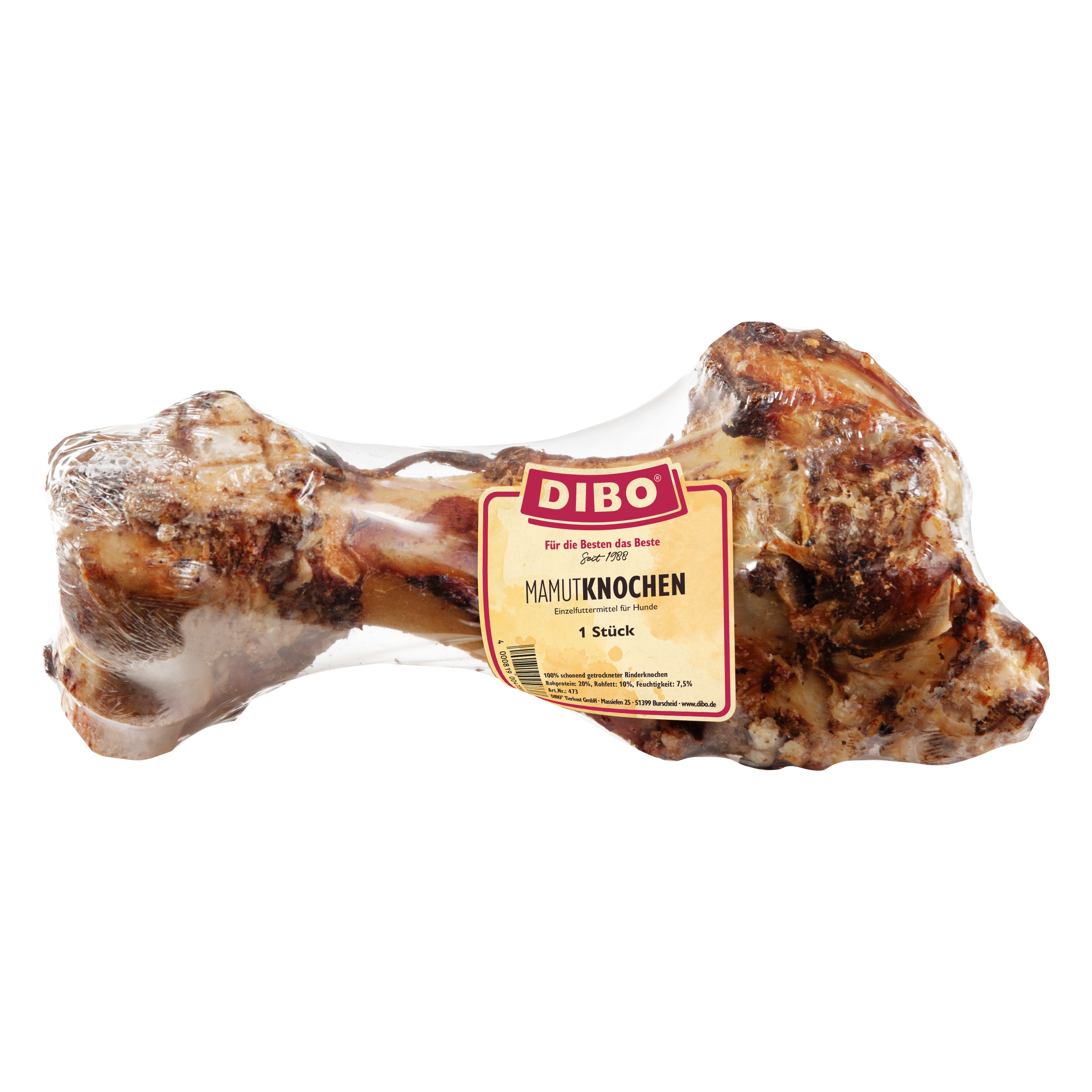 DIBO Mamut-Knochen
