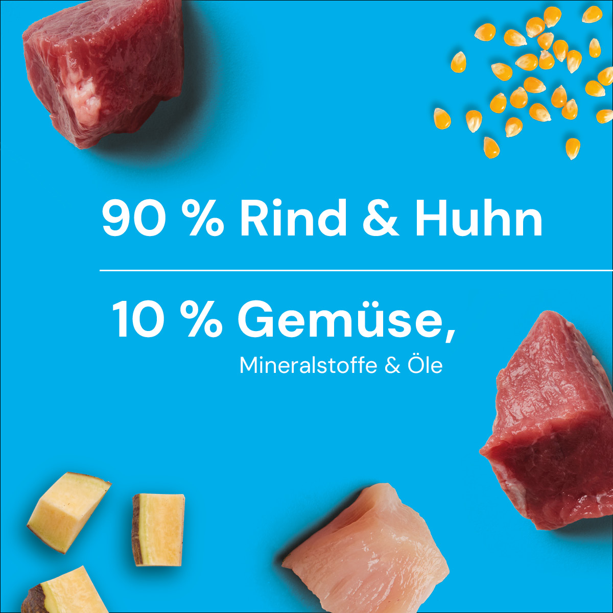 Nutriment BARF In One JUNIOR