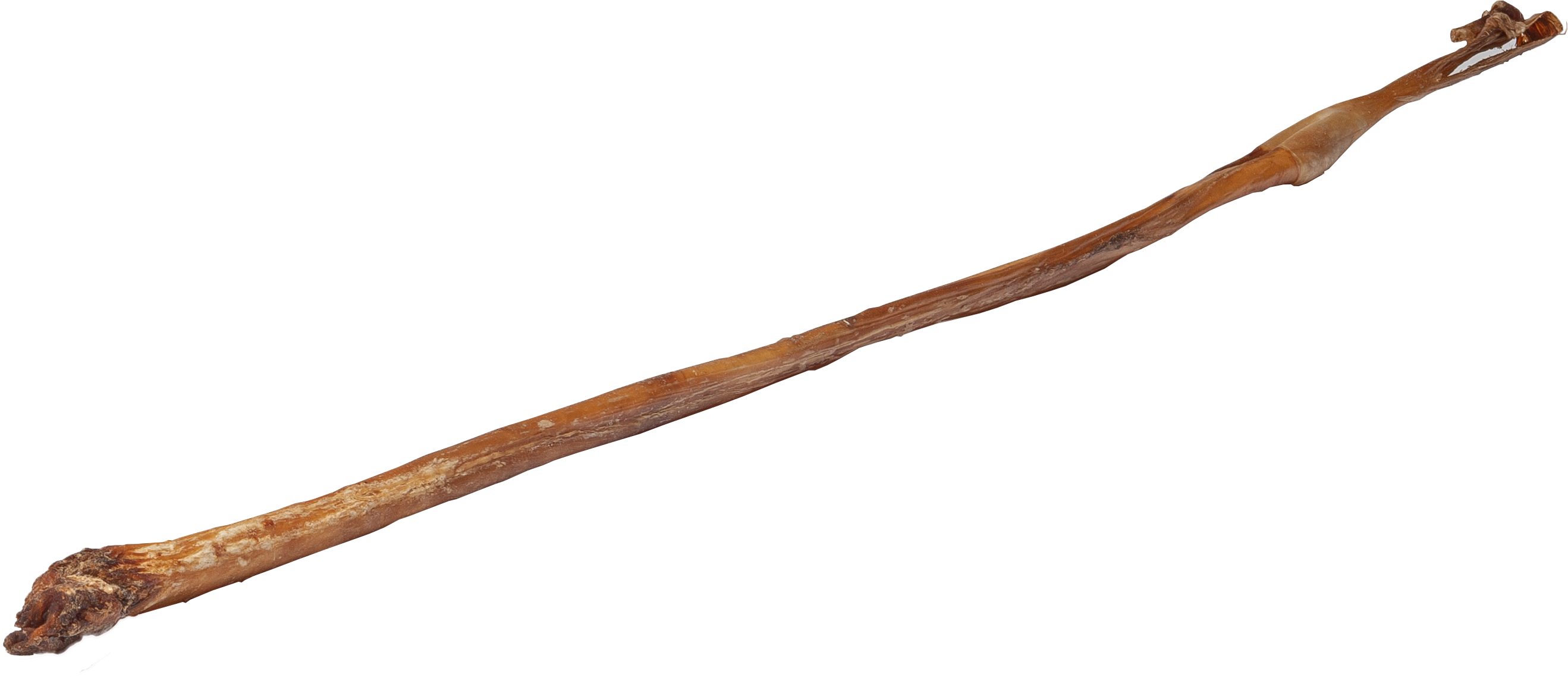 DIBO Ochsen-Ziemer, ca. 70cm lang Getrockneter Ochsenziemer, ein langer, dünner Kauknochen für Hunde