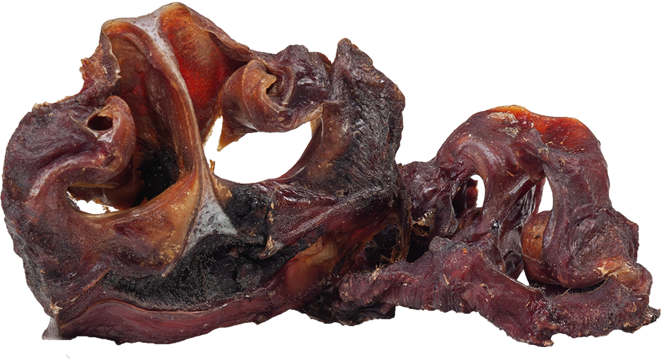DIBO Rinder-Nasen, 5kg-Karton Getrocknete Rindernasen als Tierkauartikel auf weißem Hintergrund