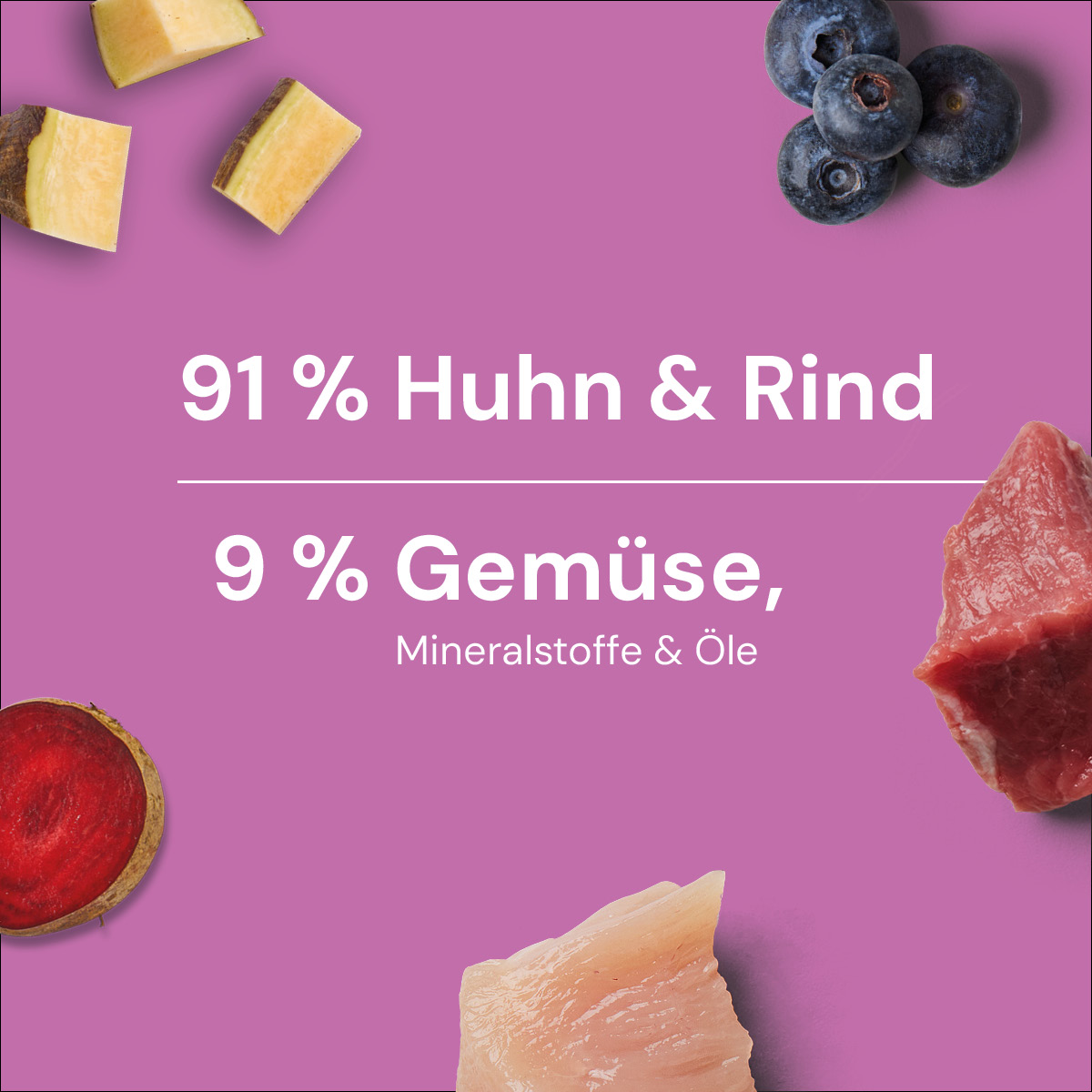 Nutriment BARF In One SENIOR Zusammensetzung: 91 % Huhn & Rind, 9 % Gemüse, Mineralstoffe & Öle auf lila Hintergrund mit Lebensmitteldarstellungen