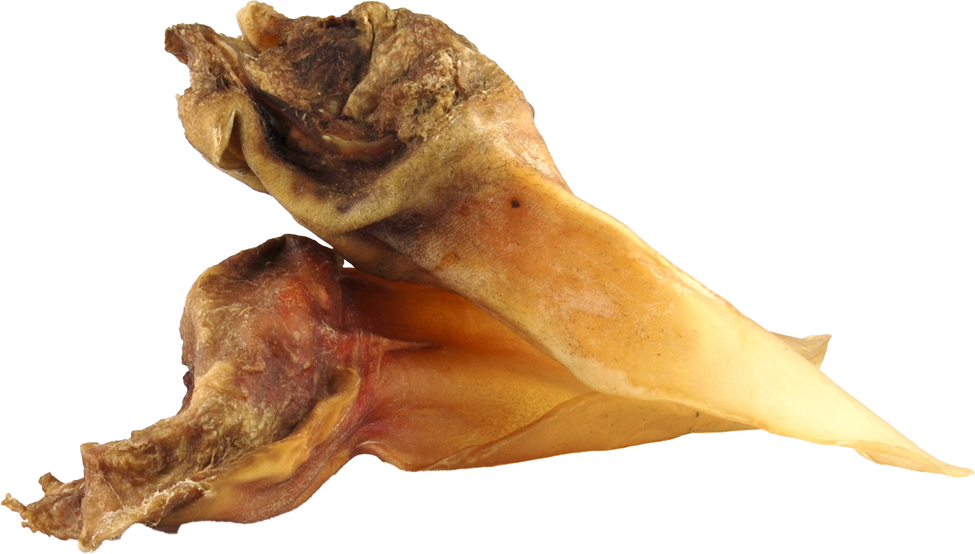 DIBO Rinder-Ohren mit Muschel, 25er-Beutel