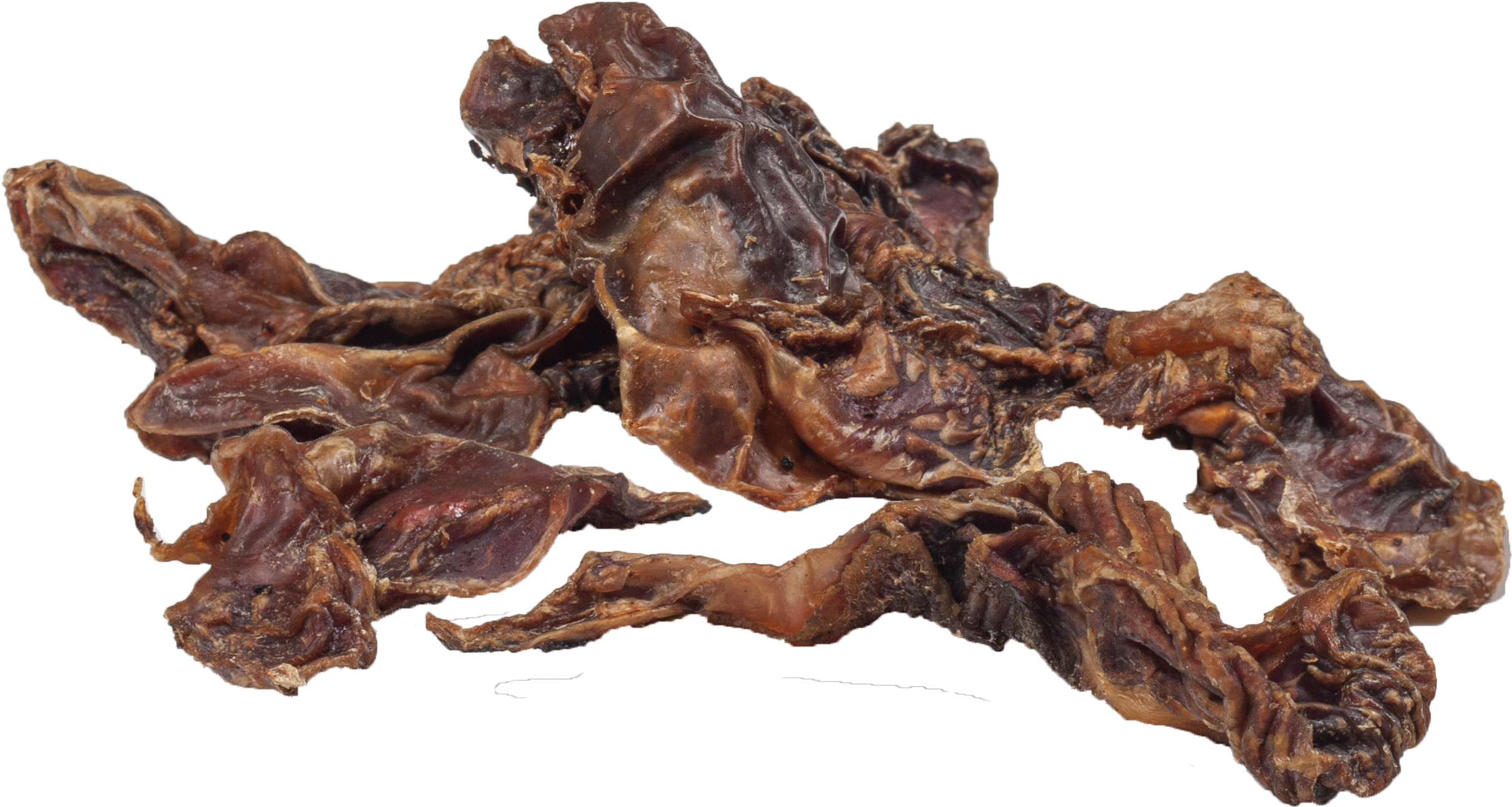 DIBO Hähnchen-Mägen, 100g-Beutel Getrocknete Hähnchenmägen als Tierfutter, braun und faltig, auf weißem Hintergrund