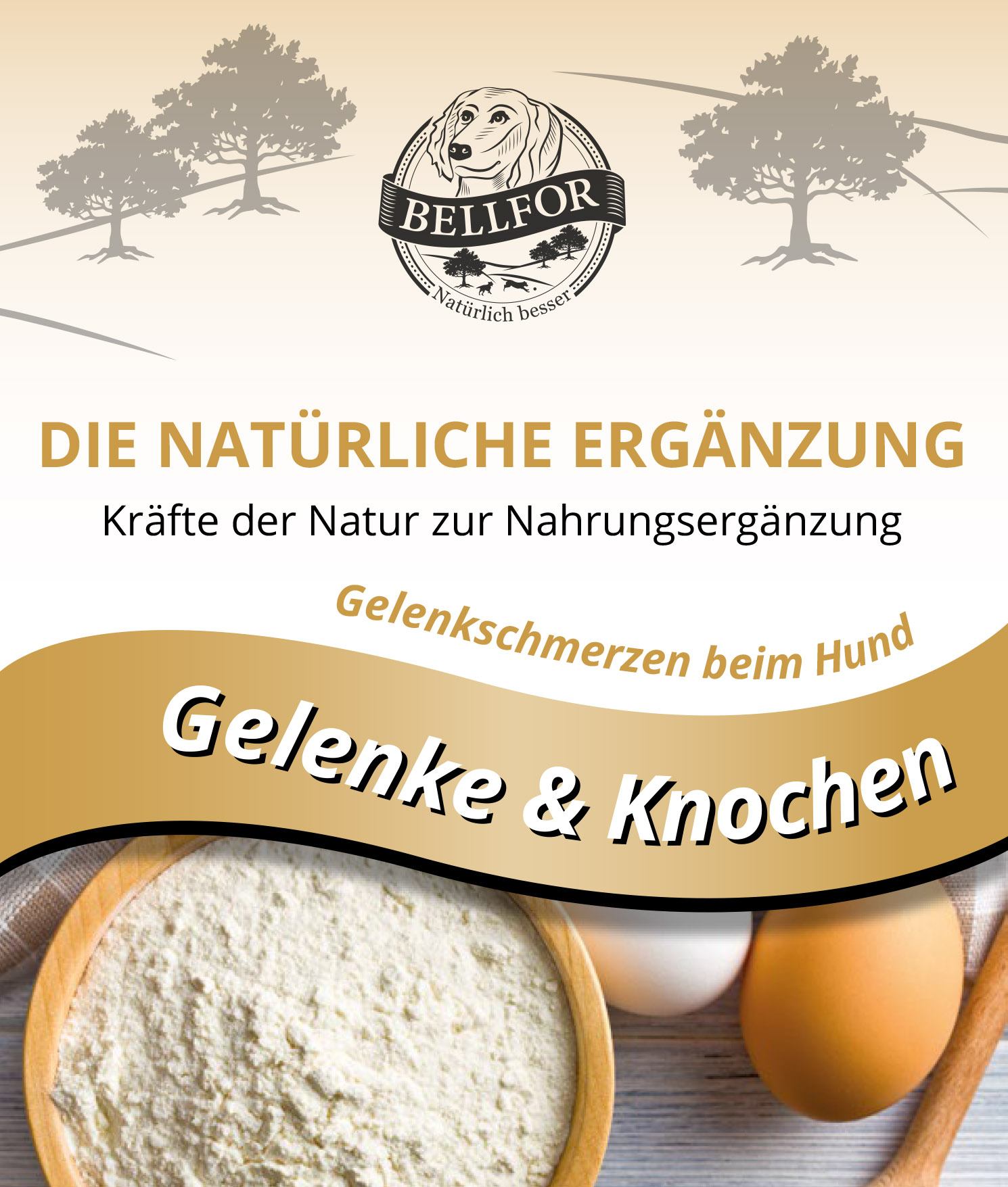 Knochen & Gelenke, 30 Kapseln