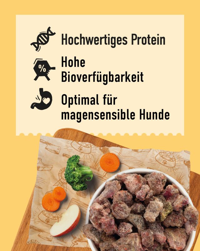DIBO Menü-Balance - B.A.R.F.-Frostfutter für Hunde