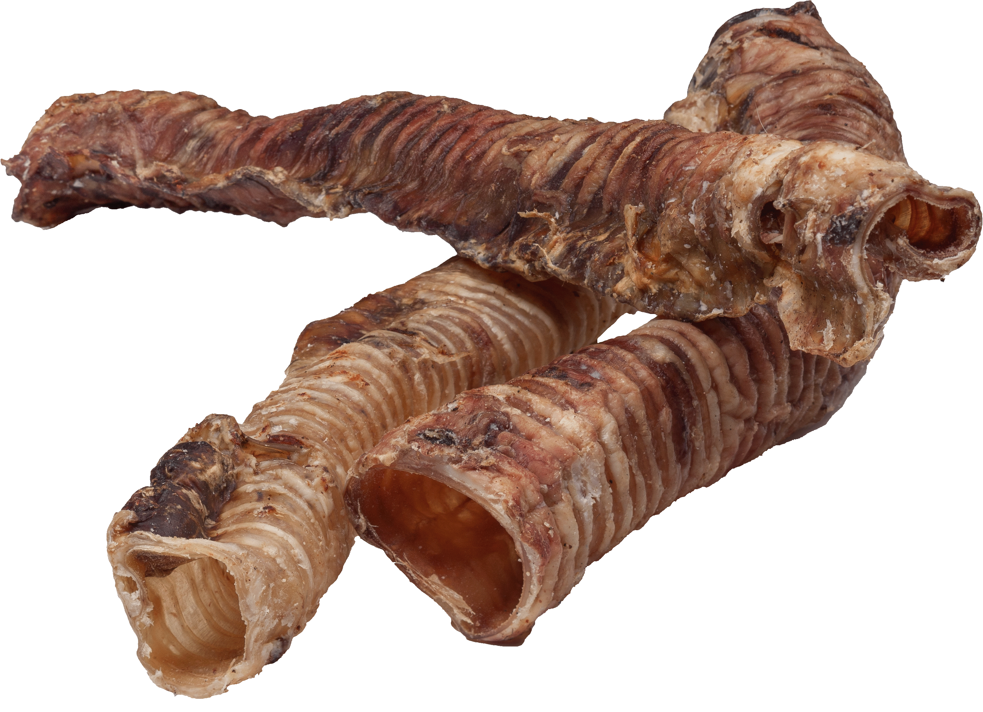 DIBO Rinder-Schlund (Strosse) ganz, lang