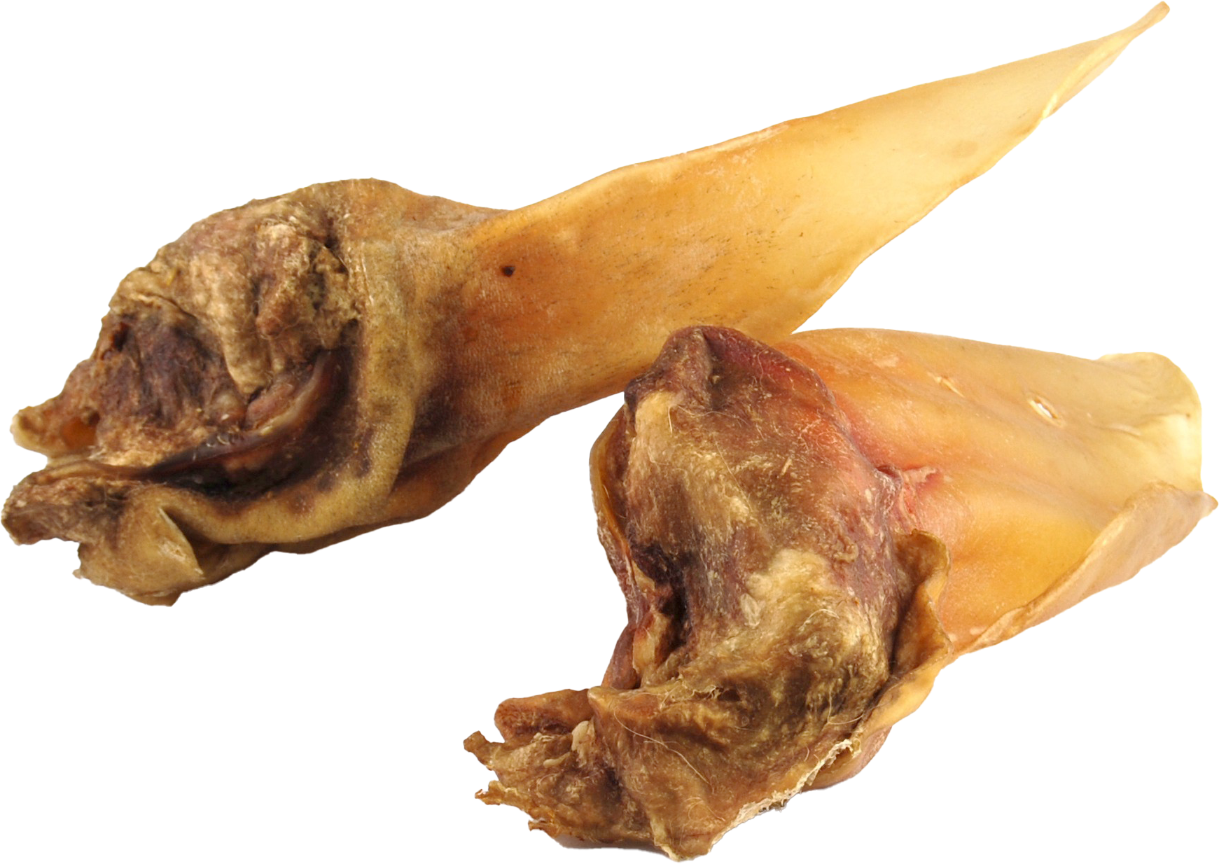 DIBO Rinder-Ohren mit Muschel, 25er-Beutel